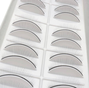 Training Lashes Lash Luks 